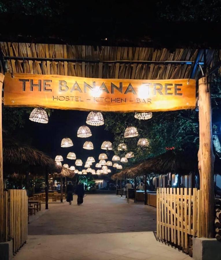 The Banana Tree Hostel 宁平 外观 照片